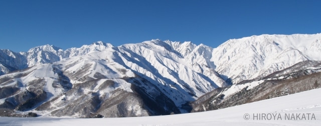 雪を守る