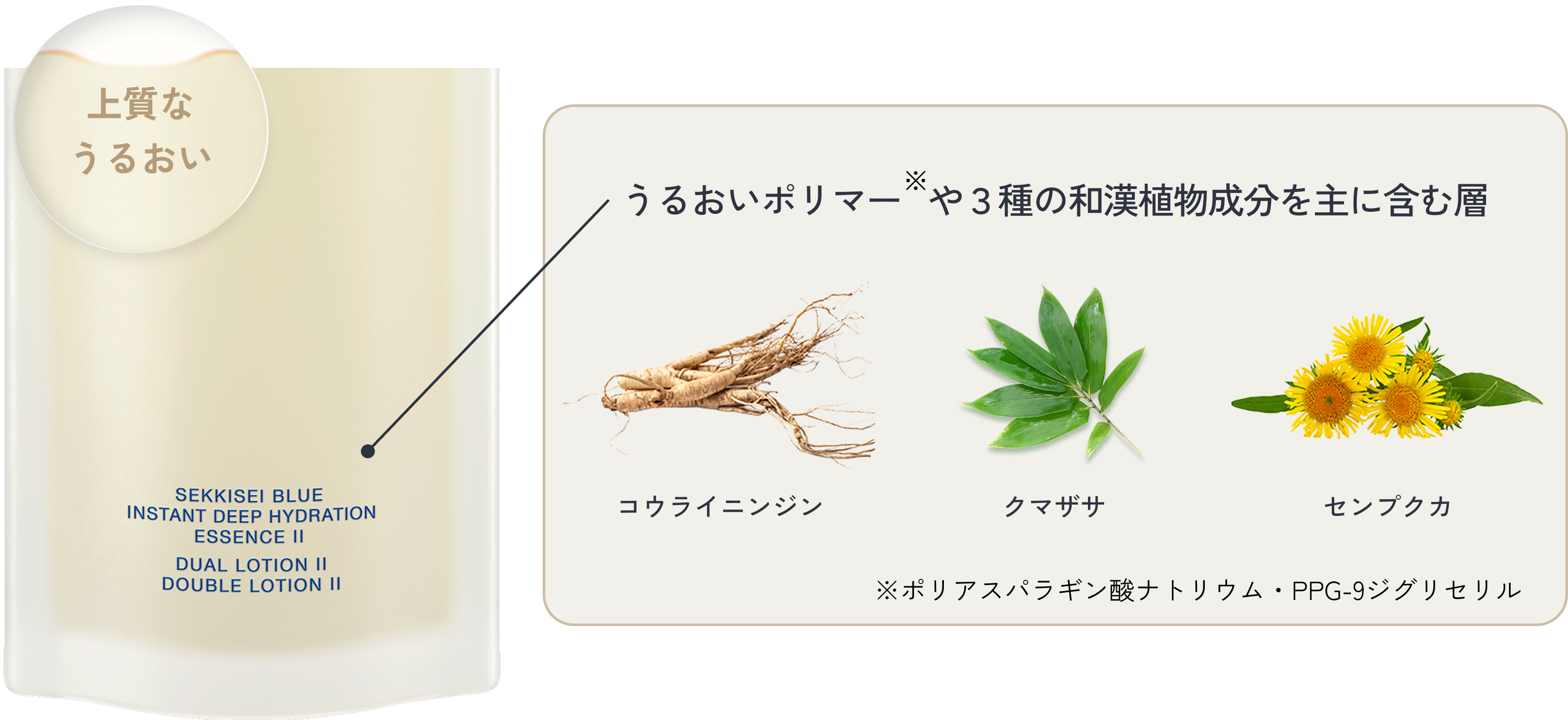 ローション層