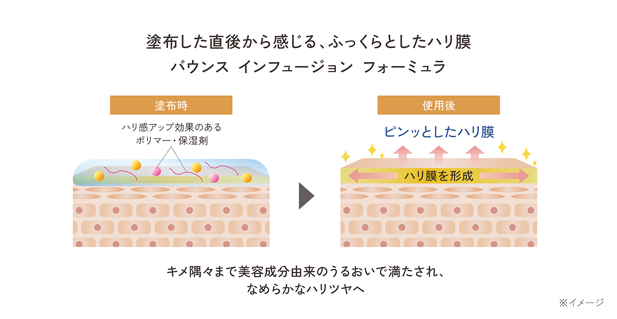 塗布後のハリ膜形成イメージ