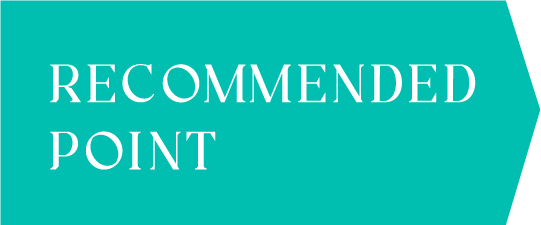 RECOMMENDED POINT