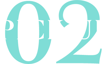 PICK UP 02