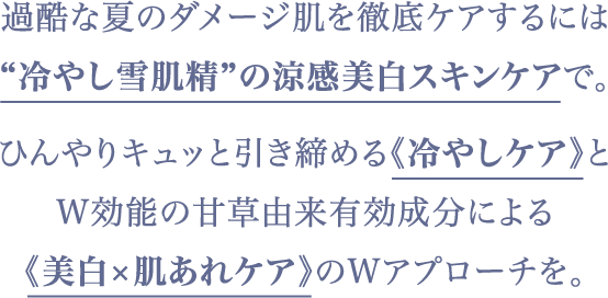 肌ダメージが加速する夏の酷暑。強い紫外線や冷房による乾燥はもちろん、屋外と室内の《温度と湿度の落差》や《過酷な汗・皮脂》も、肌のバリア機能を低下させさまざまな肌トラブルの原因に。