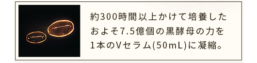 約300時間以上かけて培養したおよそ7.5億個の黒酵母の力を1本のVセラム(50mL)に凝縮。