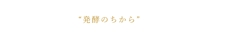 雪肌精が大切にしてきた和漢植物に“発酵のちから”をプラスして、肌にワンランク上の透明感と活力感を与えます。