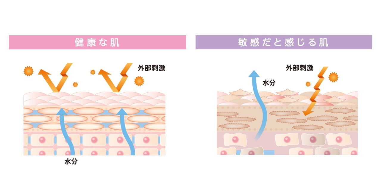 健康な肌のイメージ