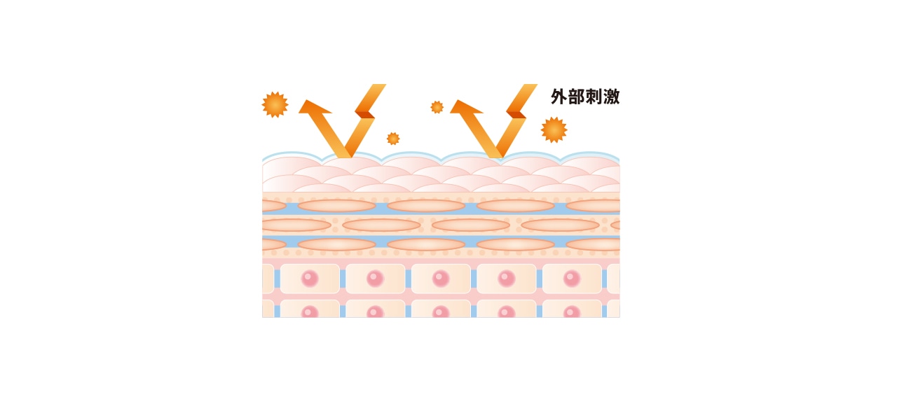 トラブルが起きにくい肌のイメージ