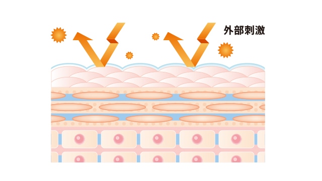 トラブルが起きにくい肌のイメージ