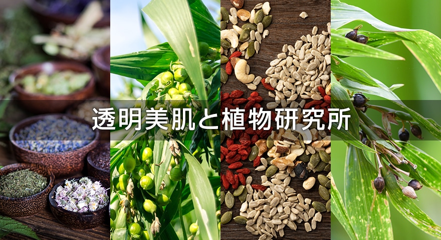 透明美肌と植物研究所