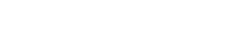 美の追求